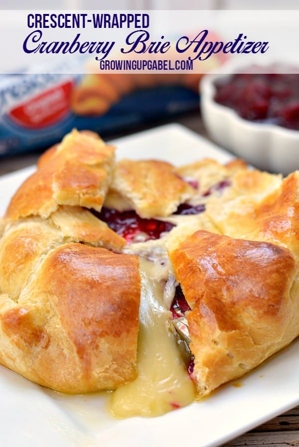 Cranberry and Brie Baked Cheese Appetizer Recipe