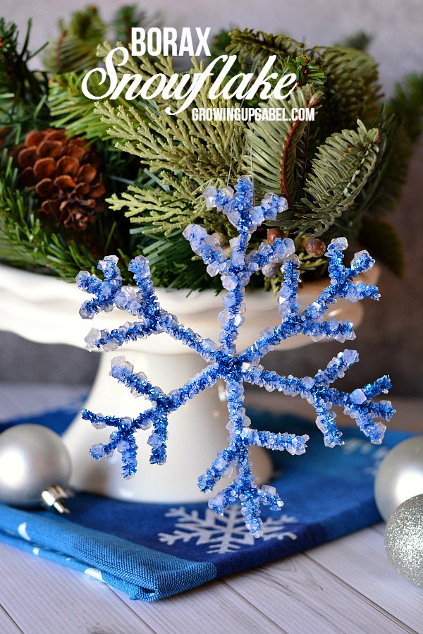 Borax Snowflake Crafts for Kids