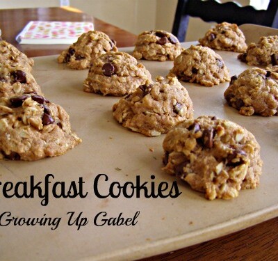 Breakfast Cookies