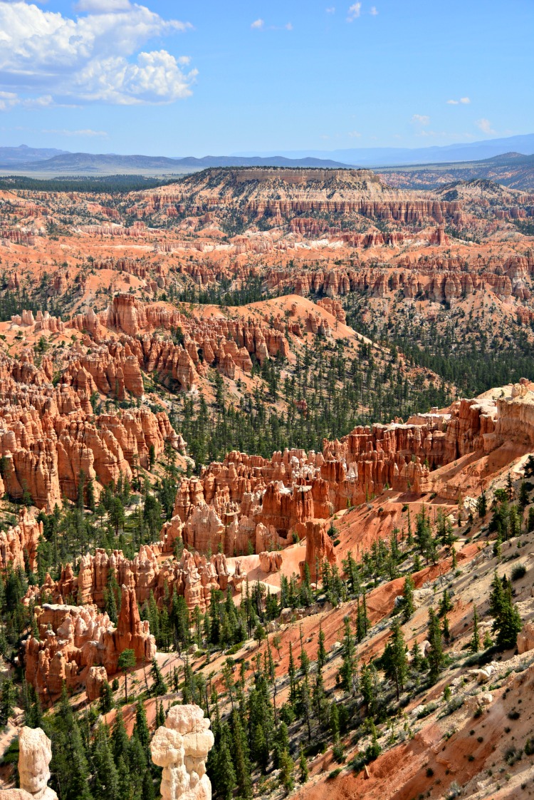 Bryce canyon