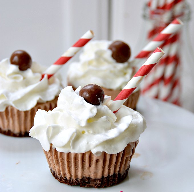 Chocolate Ice Cream Cupcake 