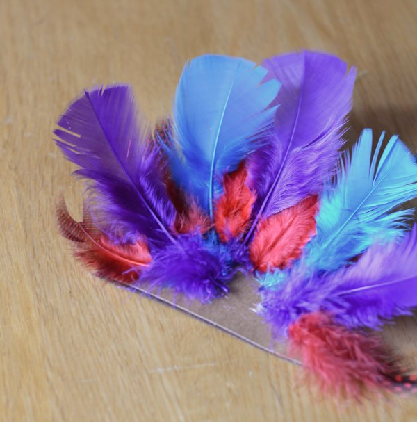 Craft Feathers for Turkey Craft