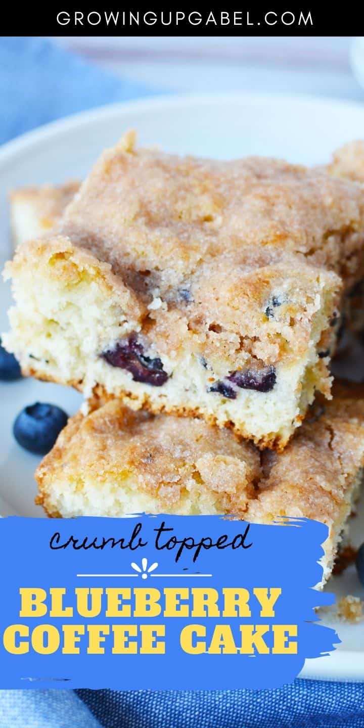Blueberry coffee cake with a crumb topping made with fresh blueberries has a crunchy top and a soft center full of berries!