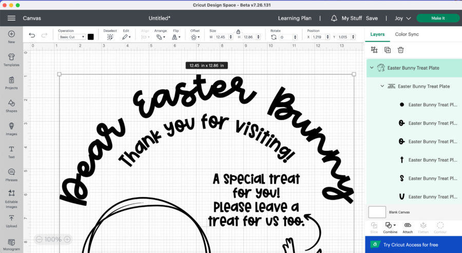 SVG in Design Space canvas