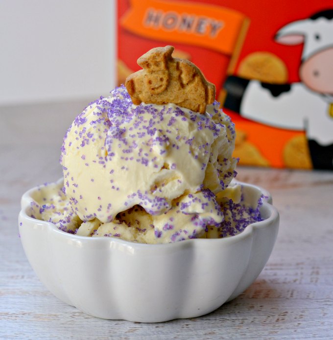 Easy homemade ice cream recipe