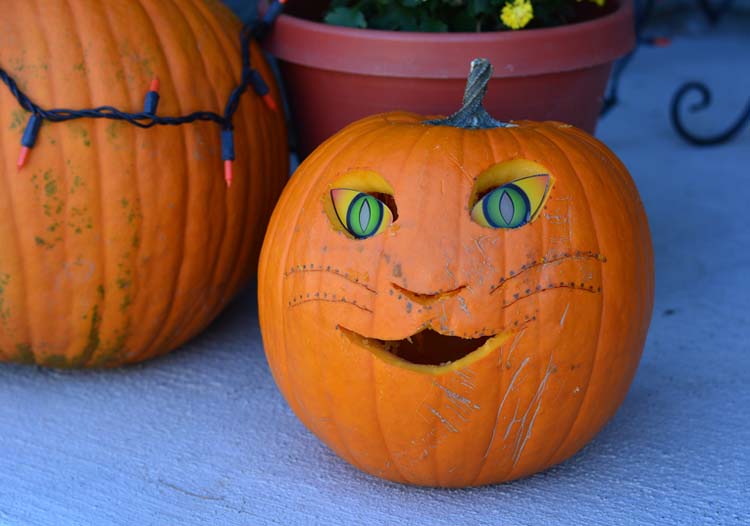 cat pumpkin carving