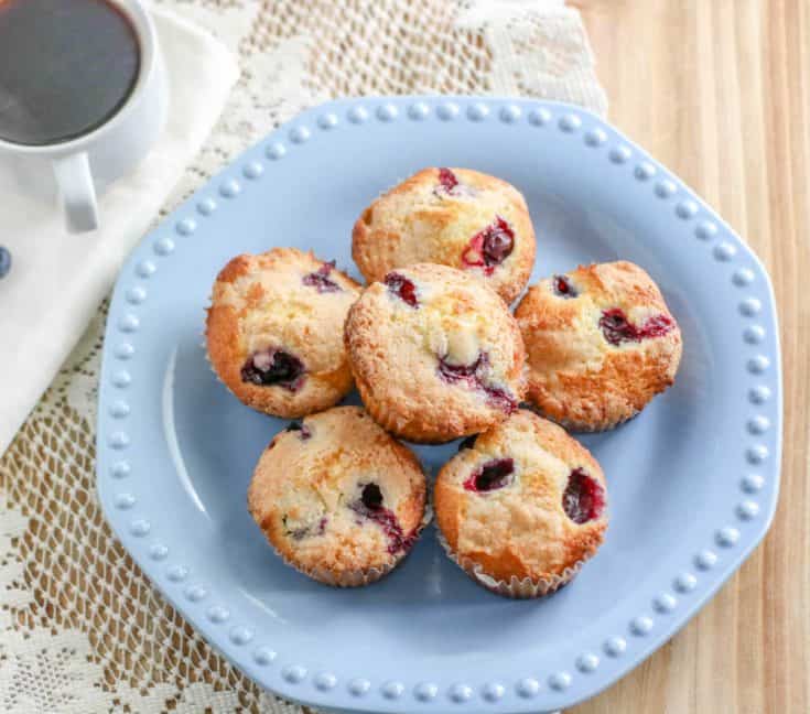 Moist Blueberry Muffins