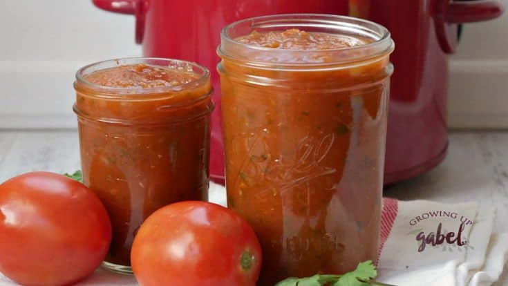 Slow Cooker Salsa