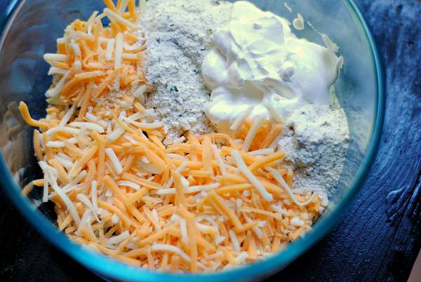Ingredients for Beer Cheese Dip
