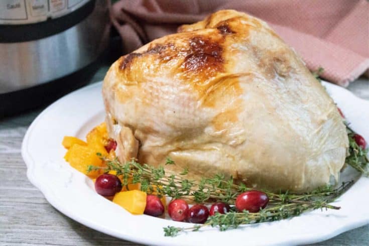 Instant Pot Turkey Breast Recipe