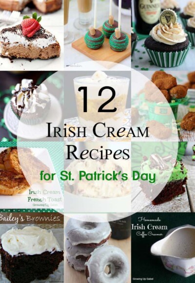 Have a left over bottle of Bailey's Irish cream? Use it up with one of these delicious Irish cream recipes! From cakes to smoothies - you're sure to find a winner.