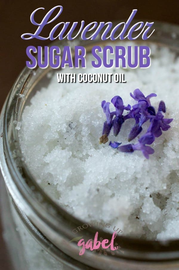 Make a homemade sugar scrub with sugar, coconut oil and dry lavender buds with this lavender sugar scrub recipe.