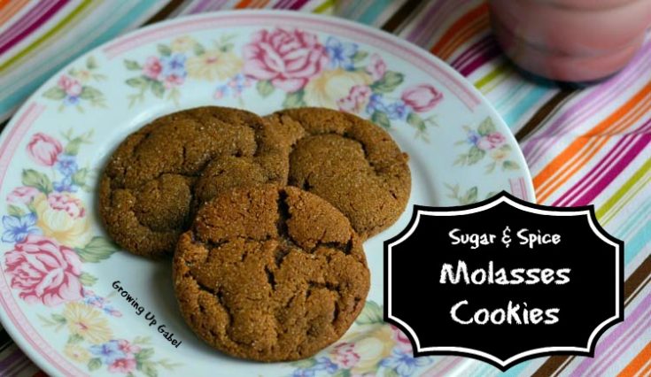 Molasses Cookies