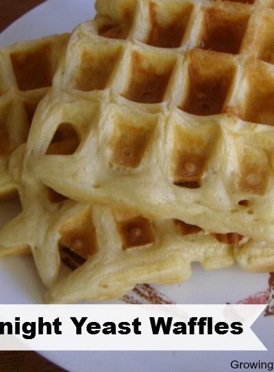 Overnight Yeast Waffle Recipe