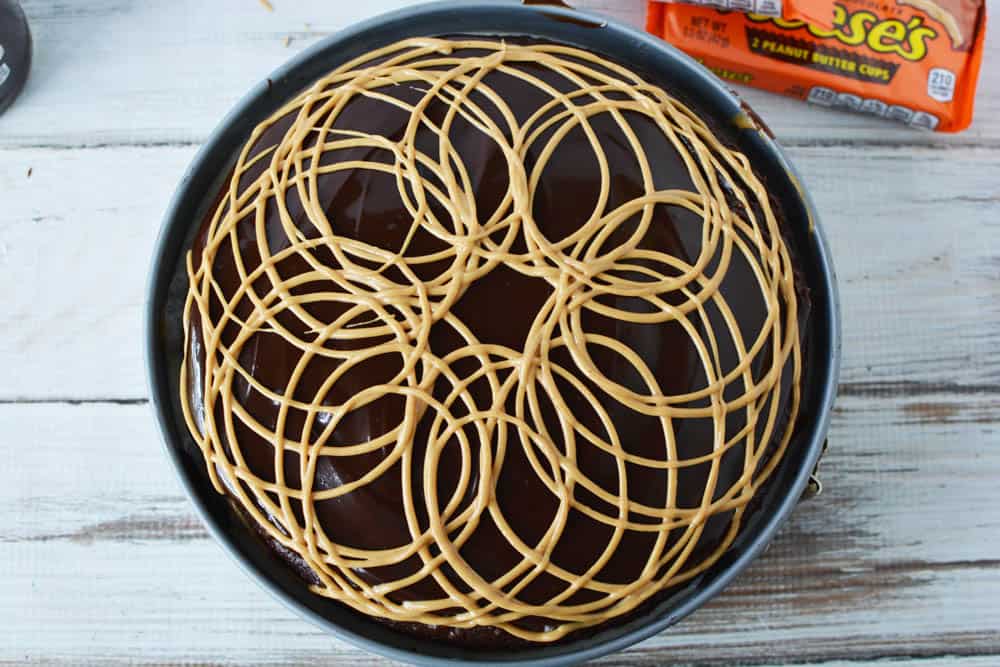 Chocolate ice cream cake with melted peanut butter drizzled in circles on top