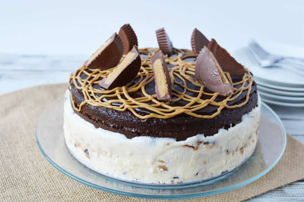 Side view of ice cream cake