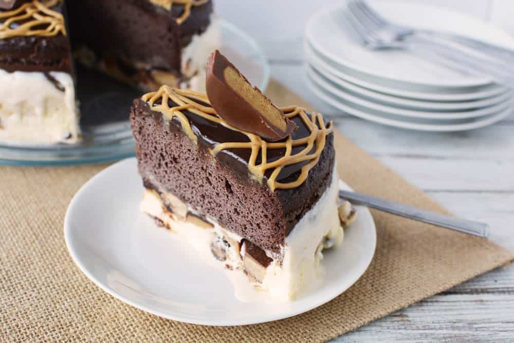 Slice of ice cream cake on a plate
