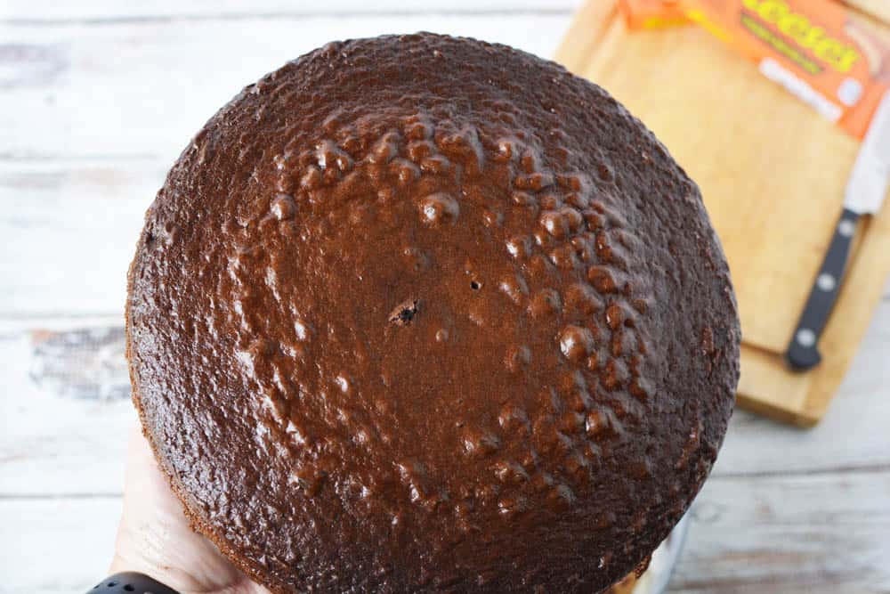 Round chocolate cake