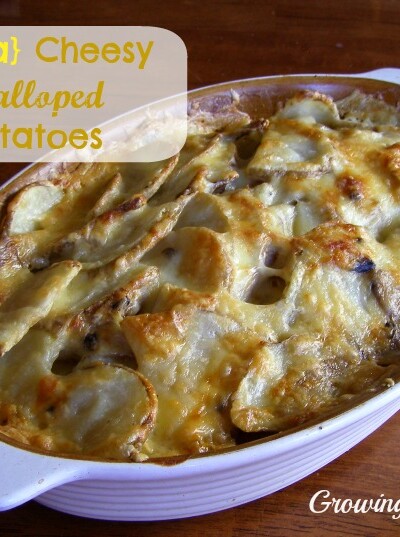 Scalloped Potatoes