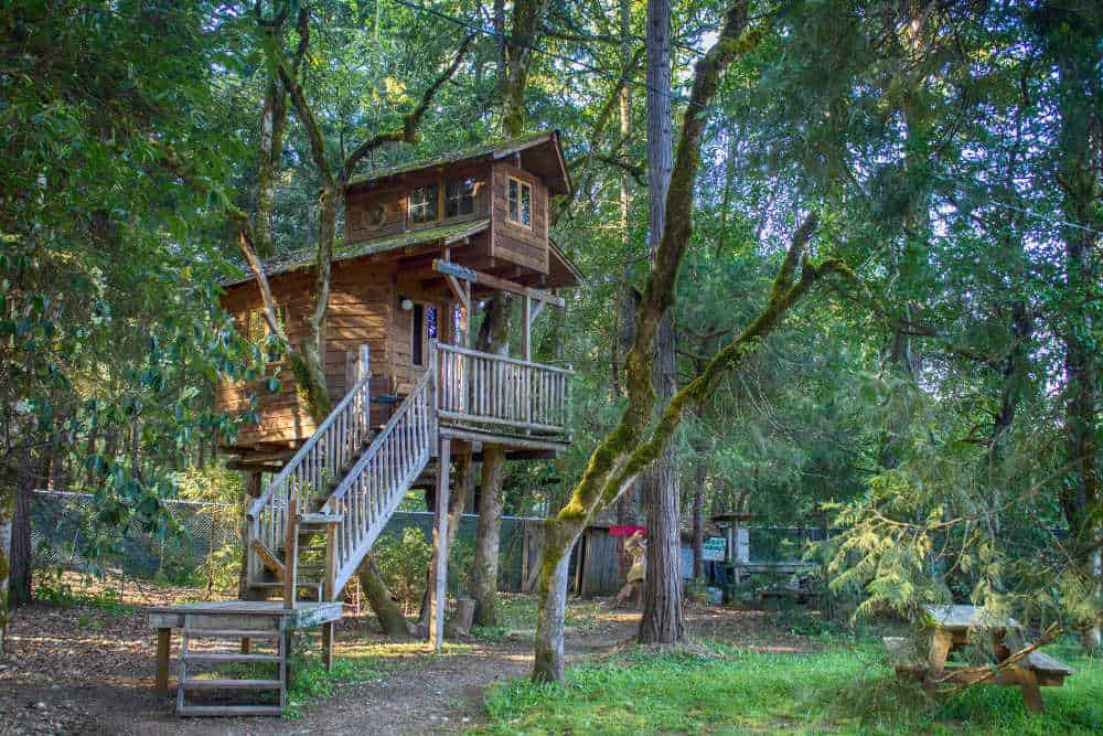 A treehouse hotel