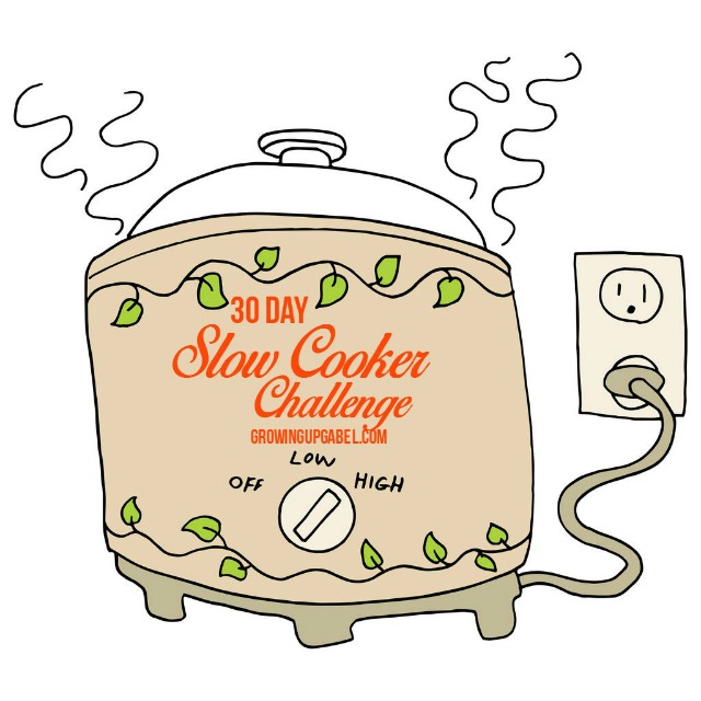 Slow cooking dinners, drinks and more is easy with this fun challenge! Get a new slow cooker recipe everyday!