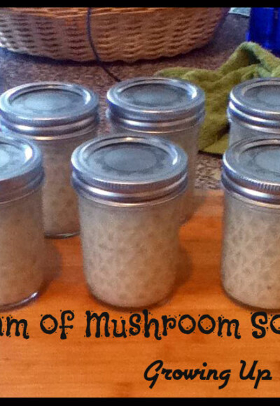 Homemade Cream of Mushroom Soup