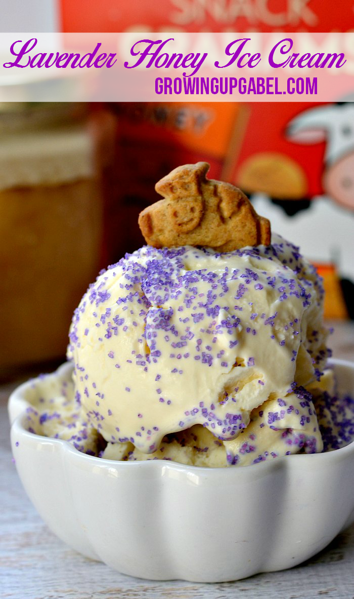 Lavender Honey Homemade Ice Cream Recipe with lavender